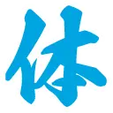 体